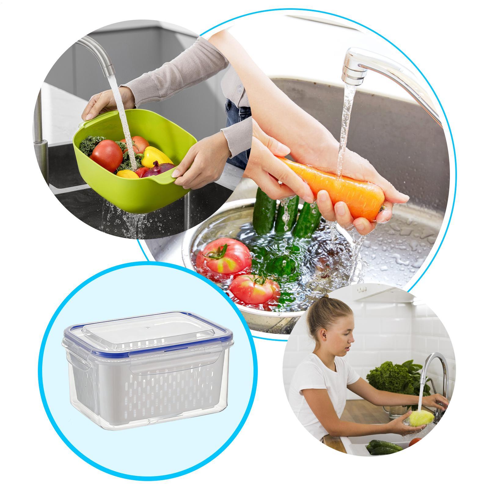 Wadah Penyimpanan Makanan 4 in - Food Storage Containers ulasan dan harga
