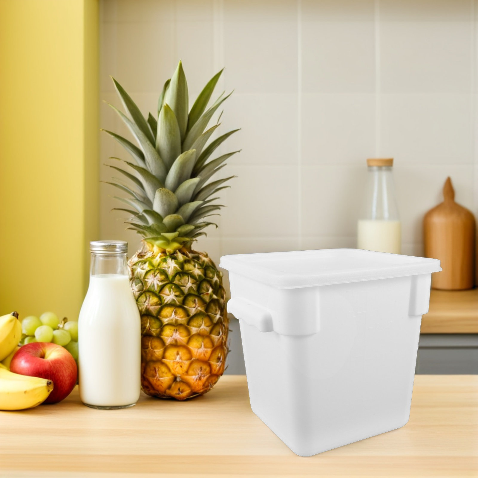 Wadah Penyimpanan Makanan Plas - Food Storage Containers ulasan dan harga